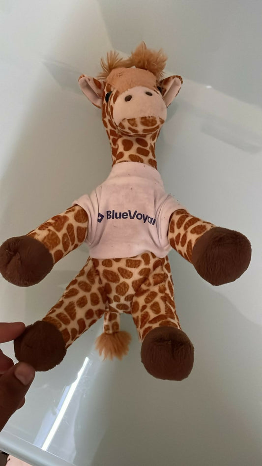 Soft toy - kangaroo