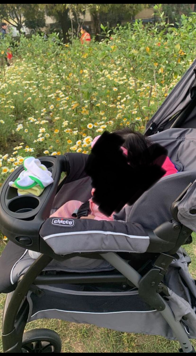 CHICCO Cortina Cx Stroller/Pram for Baby - PyaraBaby