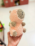 Capybara Crochet Soft Toy