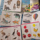 Navneet preschool textbook for toddlers – fun, colorful, and engaging early learning book.