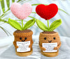 Crochet Flower Pot set with Customized message/ Crochet table top decoration flower pot set/ heart Flower Pot set of 2