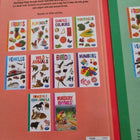 Navneet preschool textbook for toddlers – fun, colorful, and engaging early learning book.
