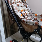 BABYHUG Cosy Cosmo Stroller/Pram