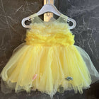 PARTY WEAR Frock (Net Fabric)