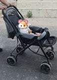 Babyhug Symphony Stroller