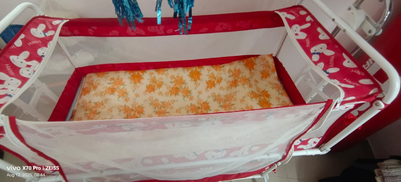 NATRAJ INFANTO Baby Twins Cradle