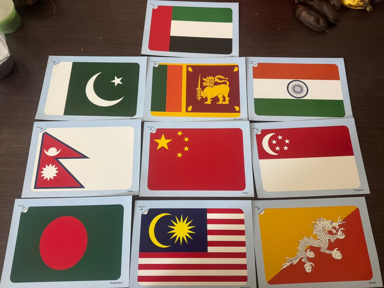 Early Learning Flashcards & Spiral Book Set 