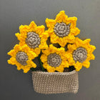 Crochet Fridge Magnets – 1 Basket & 5 Flowers Set