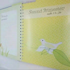 A beautifully designed keepsake journal to document every moment of your pregnancy journey, from the first positive test to the day you meet your baby