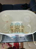 PHILIPS AVENT Sterilizer/Steriliser