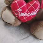 Teddy Bear- Brown