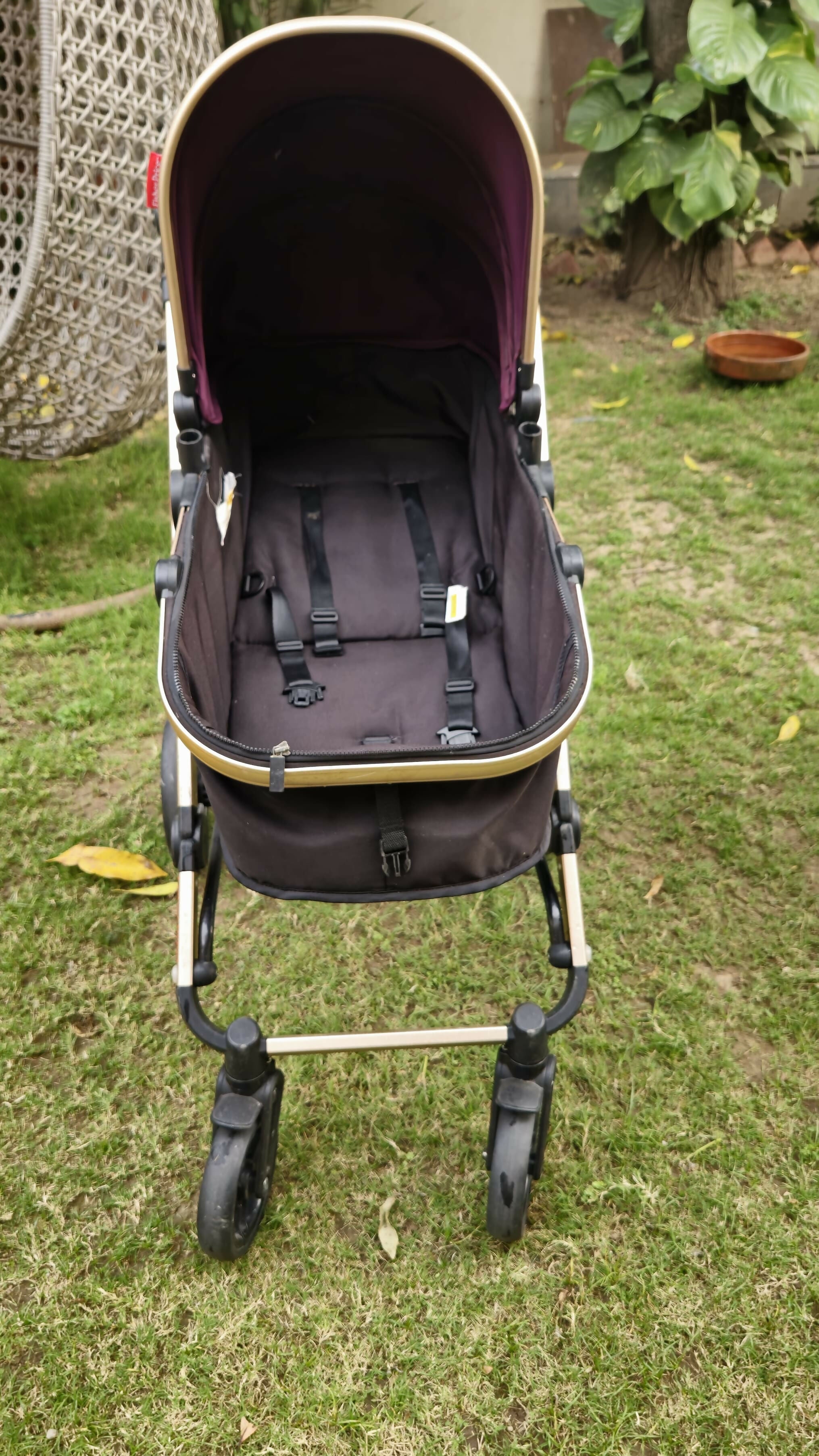 Buy FISHER-PRICE Hiker Luxury Stroller Cum Pram – Multi-Position Recline, Safety Harness, Compact Fold

