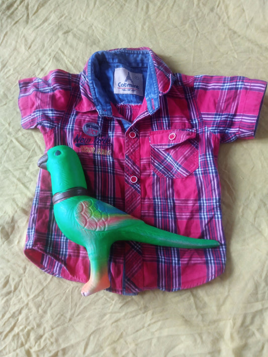 Boys cute shirts - PyaraBaby