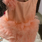 Elevate your baby girl's style with our Partywear Frock/Dress collection, featuring stunning designs for every special occasion.