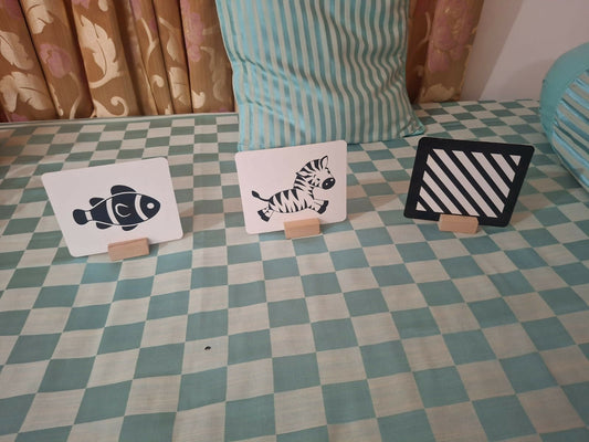 Skillmatics flashcards