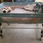 BABY TEDDY 10-in-1 Portable Convertible Crib/Cot/Cradle/Bassinet