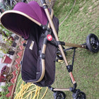 Buy FISHER-PRICE Hiker Luxury Stroller Cum Pram – Multi-Position Recline, Safety Harness, Compact Fold

