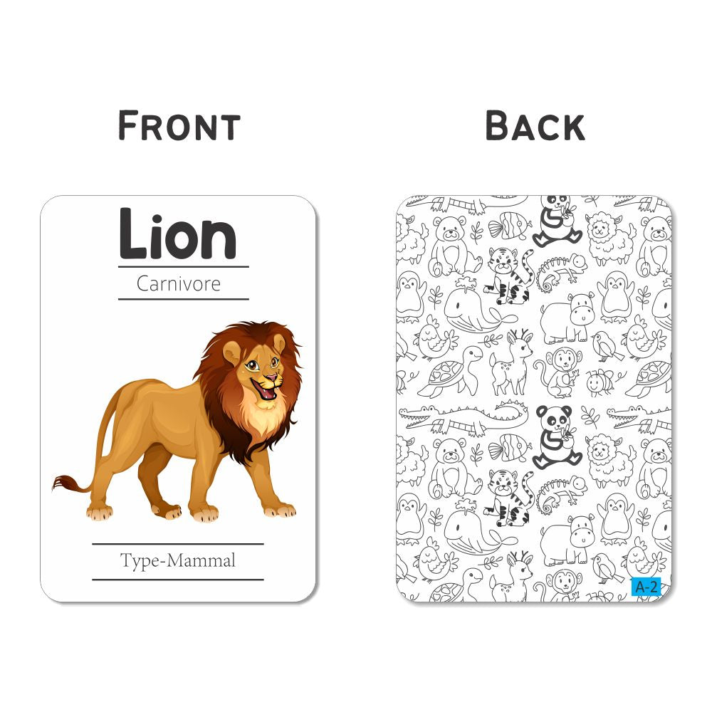 Animals Flash Cards - Pack of 24 - PyaraBaby
