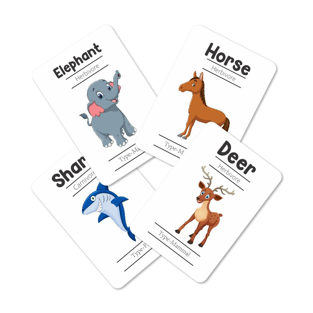 Animals Flash Cards - Pack of 24 - PyaraBaby