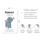 Animals Flash Cards - Pack of 24 - PyaraBaby