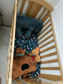 Babyhug crib online