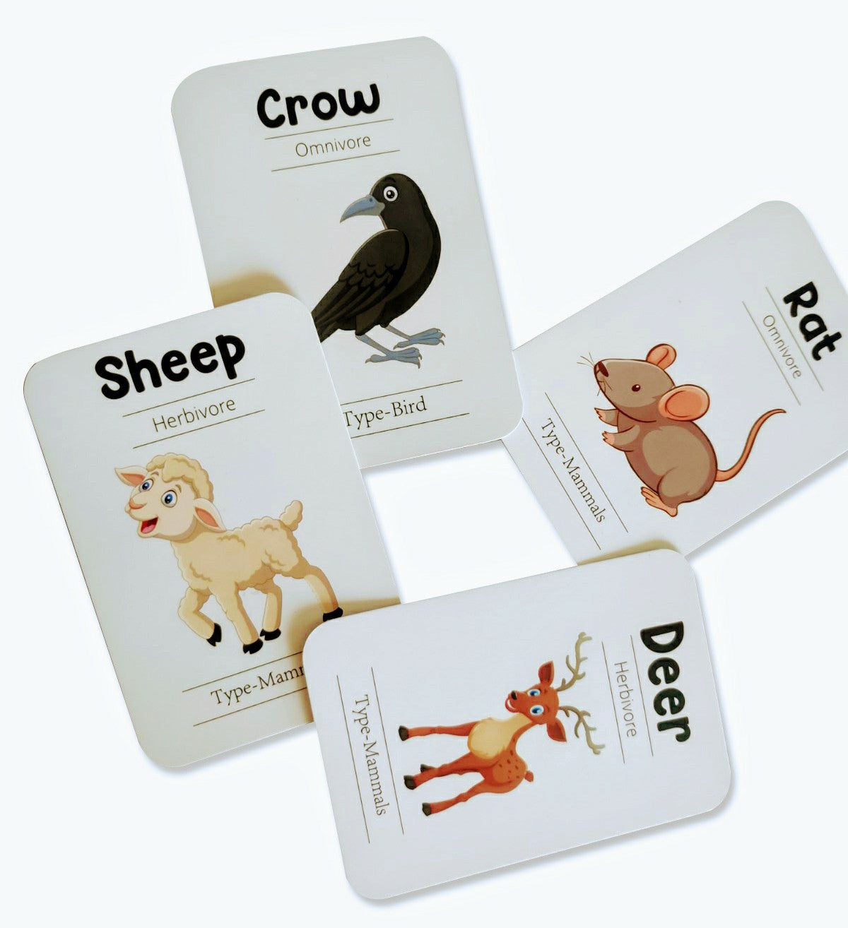 Animals Flash Cards - Pack of 24 - PyaraBaby