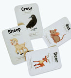 Animals Flash Cards - Pack of 24 - PyaraBaby