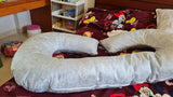 Kuber Industries C shaped maternity / pregnanancy pillow - PyaraBaby