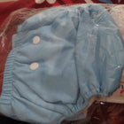 MYLO cloth diaper and dry sheet (Combo of 2) - PyaraBaby