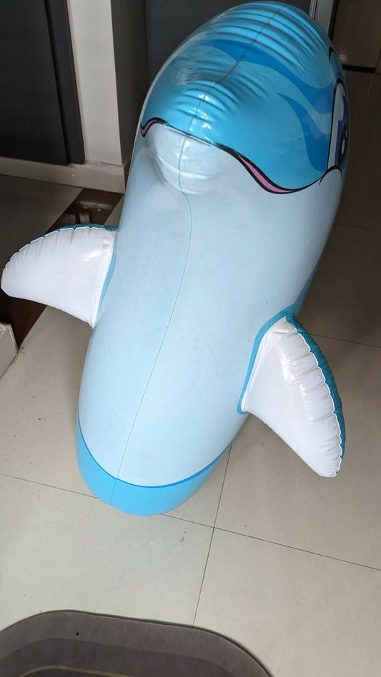 Dolphin Bouncer Toy for Kids - PyaraBaby