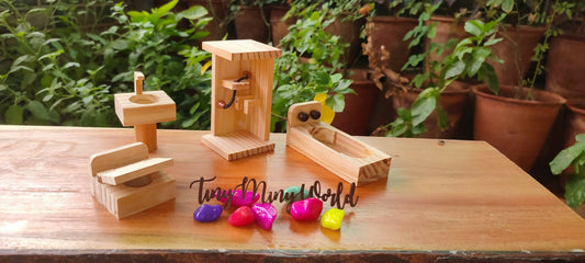 Wooden Simple Bathroom Toy