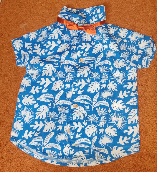 REDTAG shirt with bow + 2 shorts - PyaraBaby