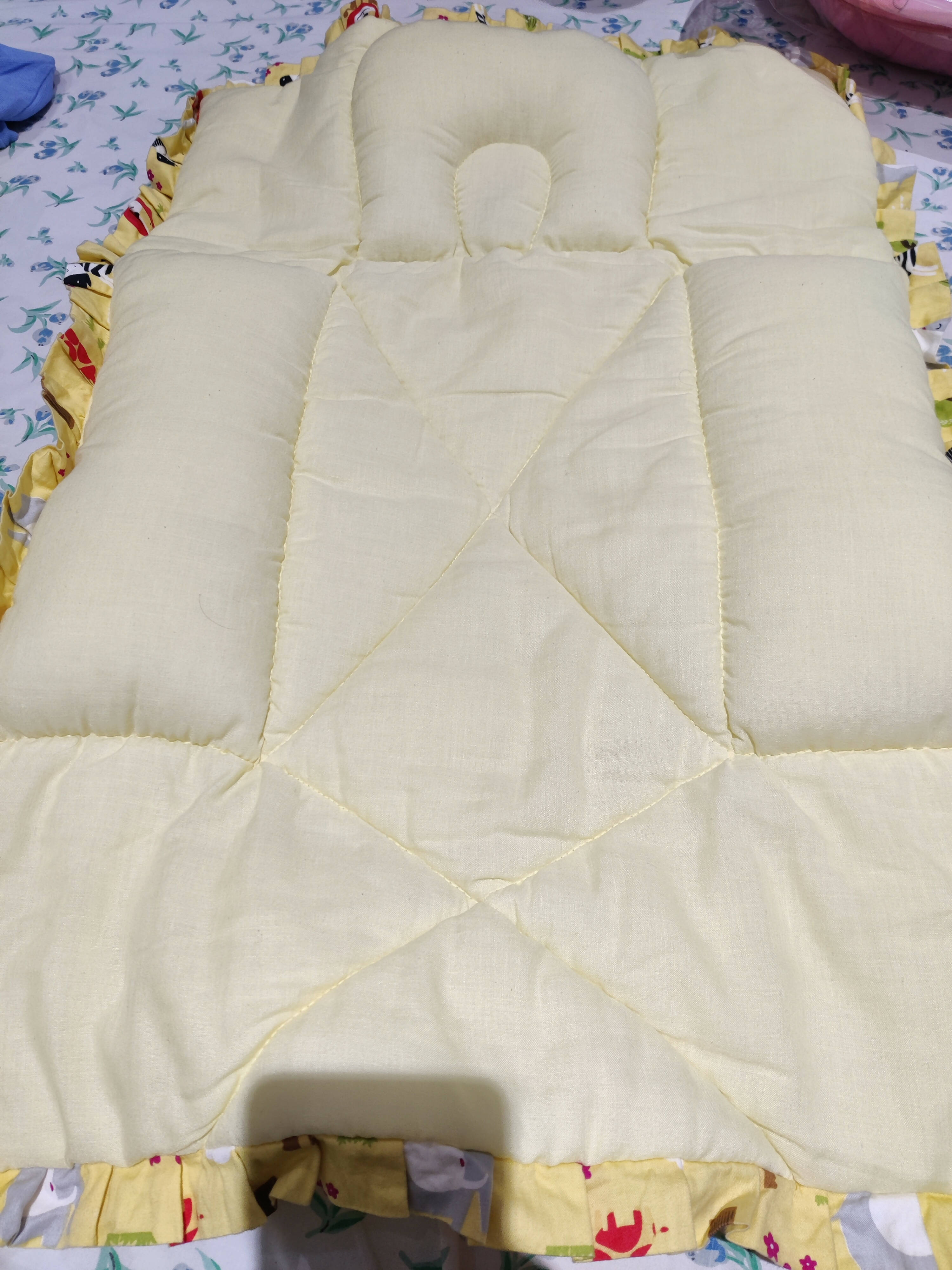 Baby bed / Mattress with mosquitoes net & pillows - Combo of 2 - PyaraBaby