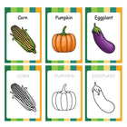 ILEARNNGROW Fruits - Vegetable Flash Cards, educational, preschool, kindergarten, fruit identification, vegetable identification - PyaraBaby