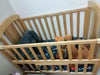 BABYHUG Cot /Crib with Mattress and Bumper Bedding Set, L 104.5 x W 62 x H 98cm