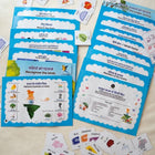 ILEARNNGROW Hindi Kit - Making Hindi Learning Fun - PyaraBaby