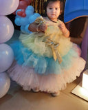 1st Birthday Baby Girl Beautiful Dress/Frock/ barbie doll dress for your baby girl - PyaraBaby